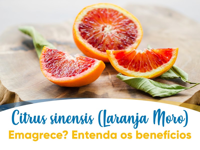 Citrus sinensis ou Laranja moro: emagrece mesmo? Entenda os benefcios!